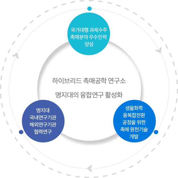 국가 대형 과제 수주 /
				   촉매분야 우수인력 양성 /
				   생물·화학 융·복합 전환 공정을 위한 촉매 원천기술 개발 /
				   명지대의 융합연구 활성화 /
				   명지대 ↔ 국내연구기관 ↔ 해외연구기관 협력연구 /